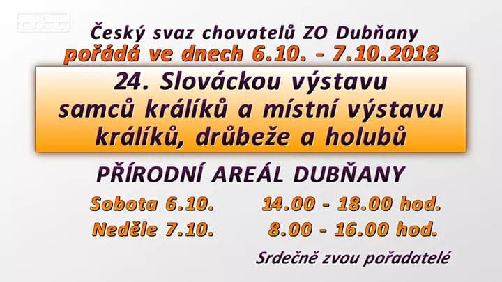 burza.jpg